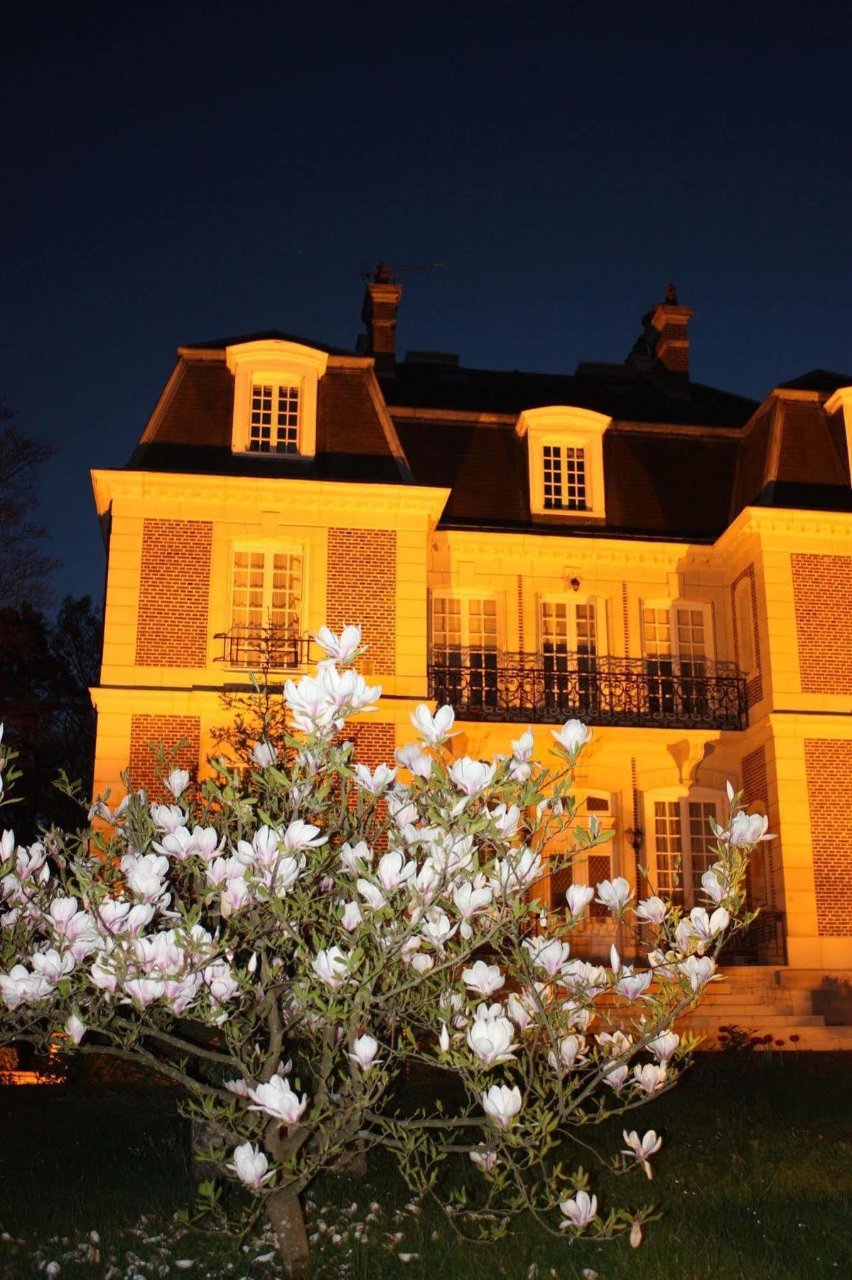 Chateau D'Avesnes - Le Castelet 外观 照片